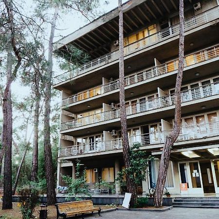 GosDacha LDZAA Hotel Lidzava Exterior foto