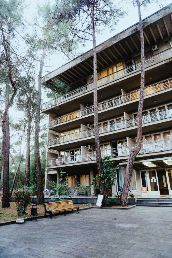 GosDacha LDZAA Hotel Lidzava Exterior foto